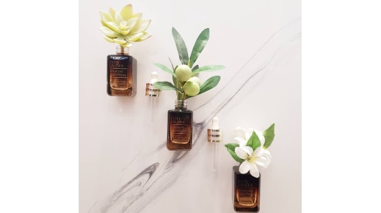 Earth Day image of products