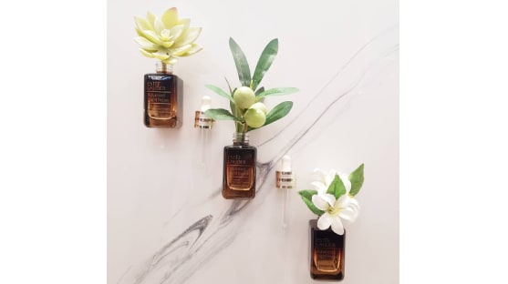 Earth Day image of products